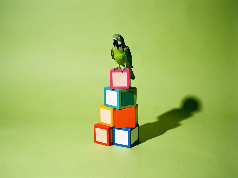 Un loro verde parado sobre una torre de bloques de juguete de colores