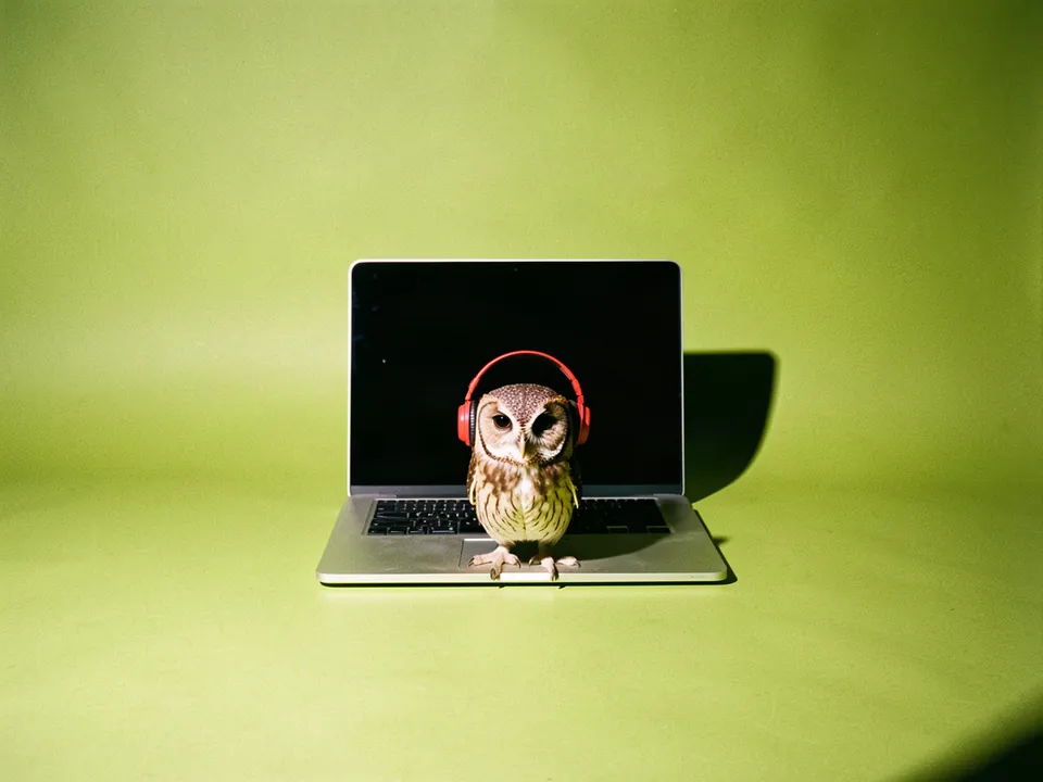 Un búho con auriculares rojos frente a una laptop