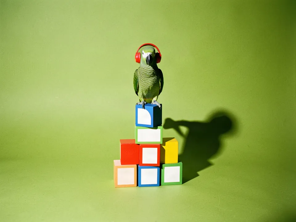 Un loro verde con auriculares rojos sentado sobre una pila de bloques de colores