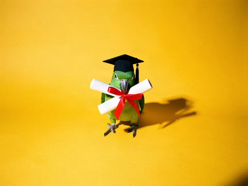 Un loro verde con birrete y un diploma enrollado con listón rojo