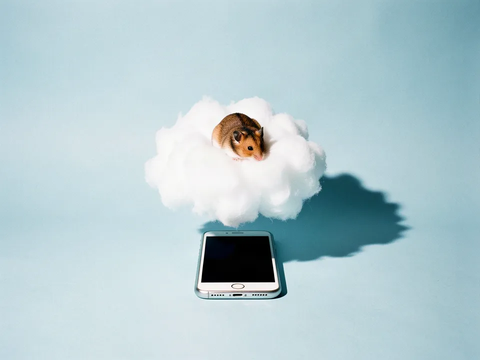 Un hámster dormido sobre una nube de algodón encima de un celular