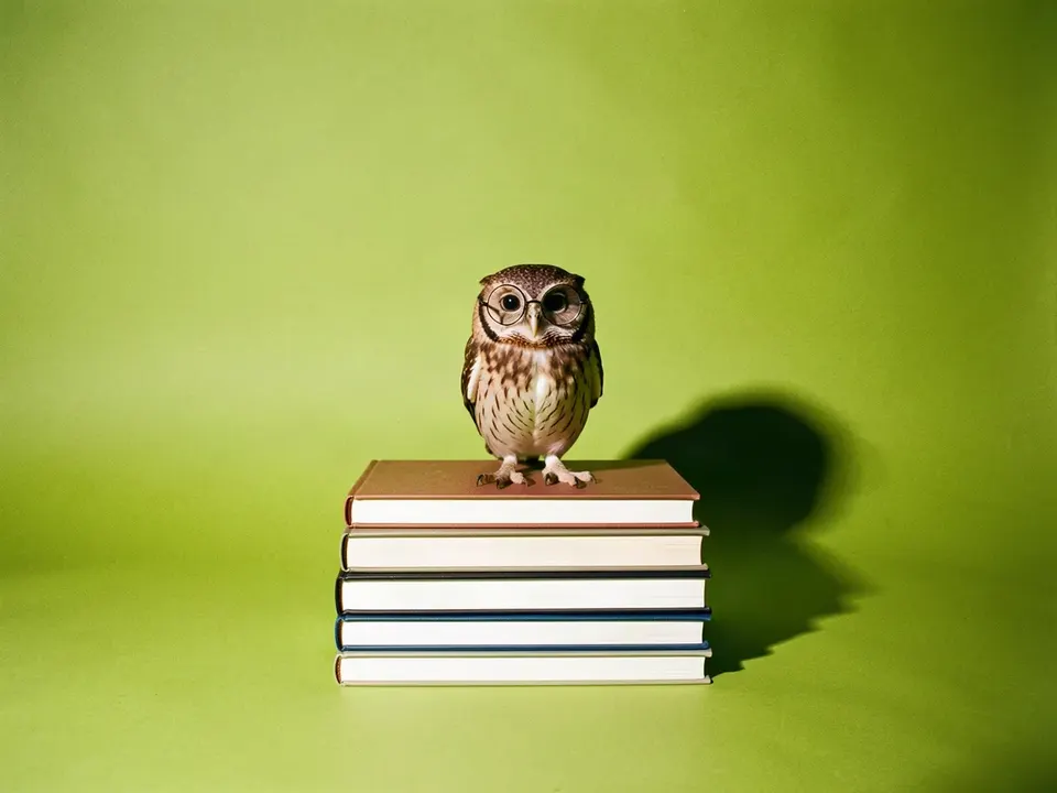 Un búho con lentes redondos sobre una pila de libros