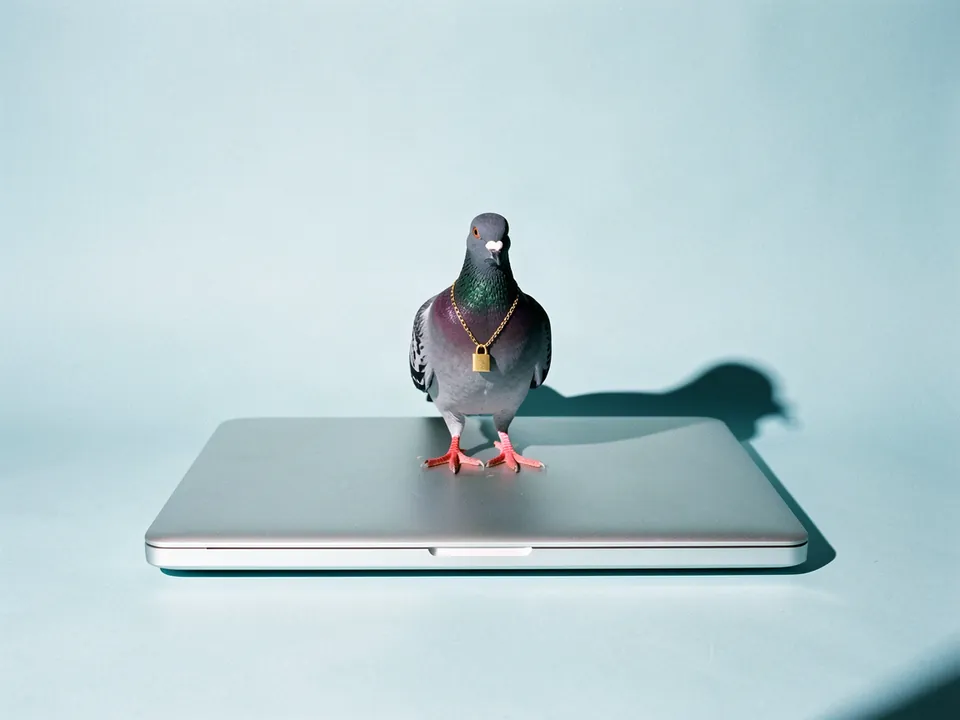 Una paloma con un candado dorado parada sobre una laptop cerrada