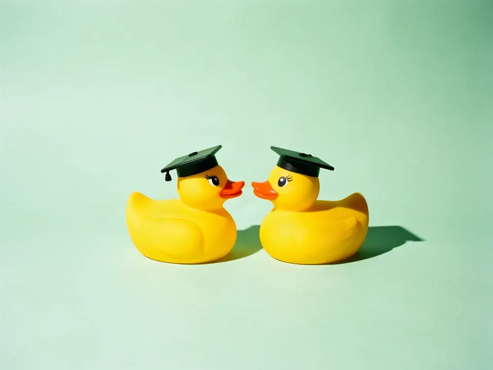 Dos patos de hule con birrete, frente a frente